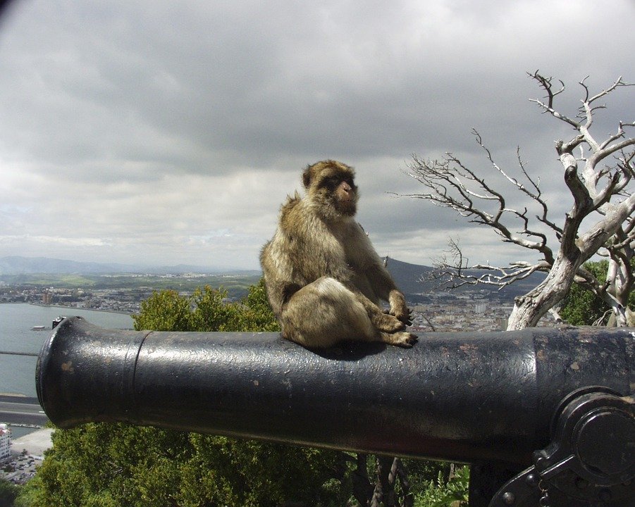 Discovering Gibraltar