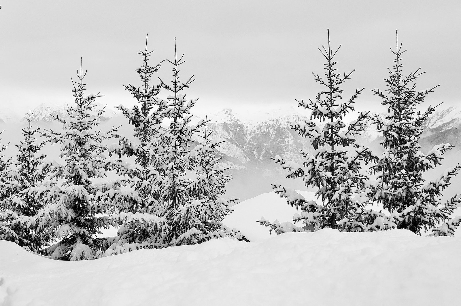 Sun, Sea and Snow - 3 Outstanding Outdoor Holidays