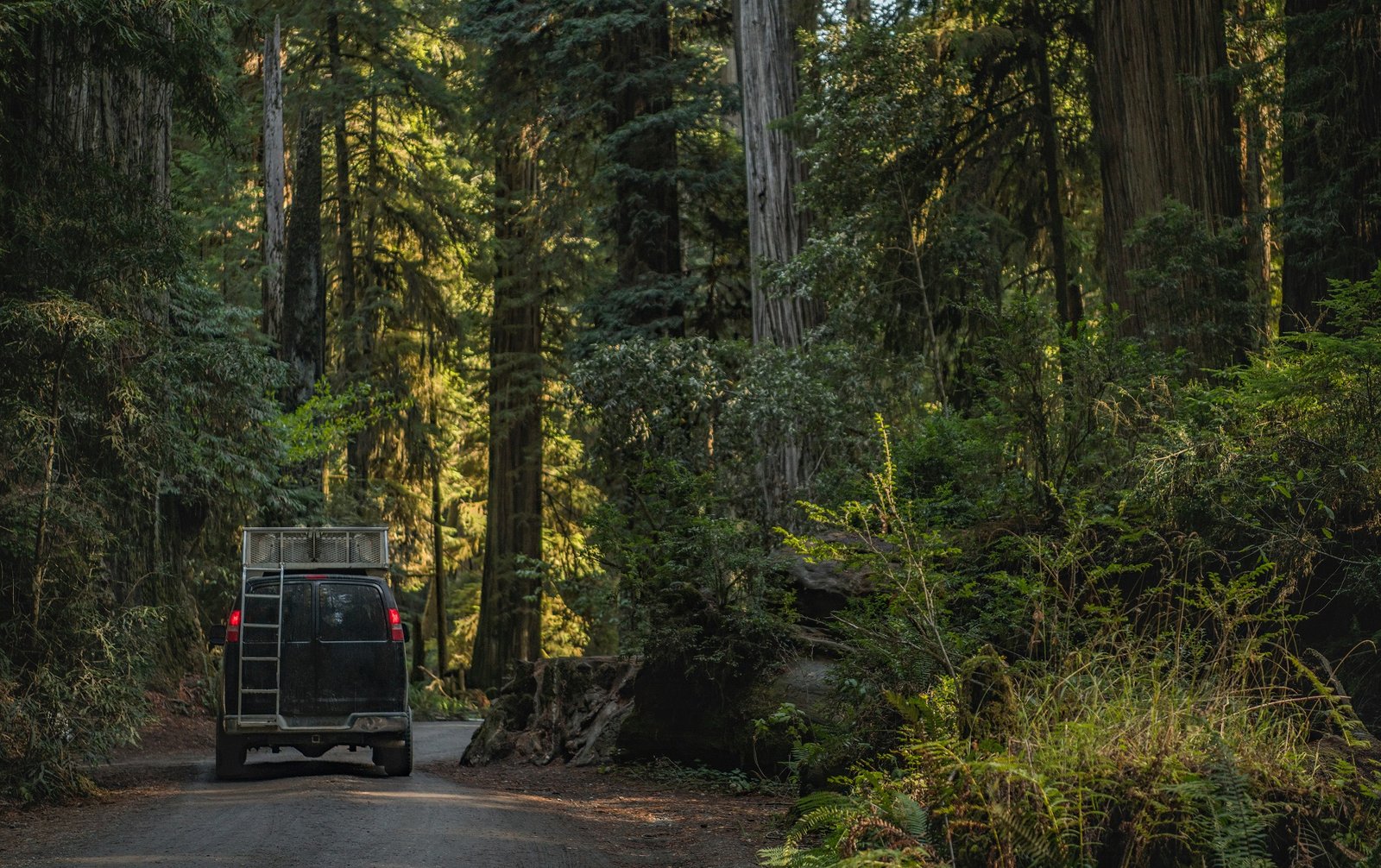 The Ultimate California Road Trip Guide to Help Make Your Trip Unforgettable