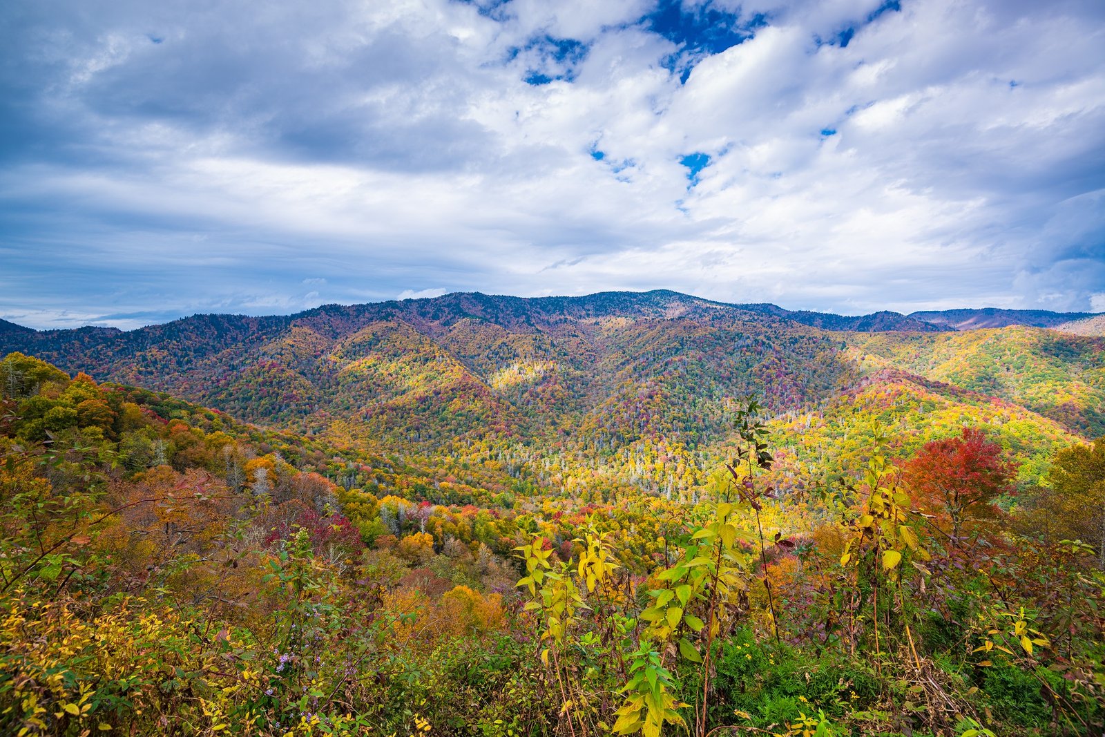 Where To Go In A Smoky Mountain Vacation
