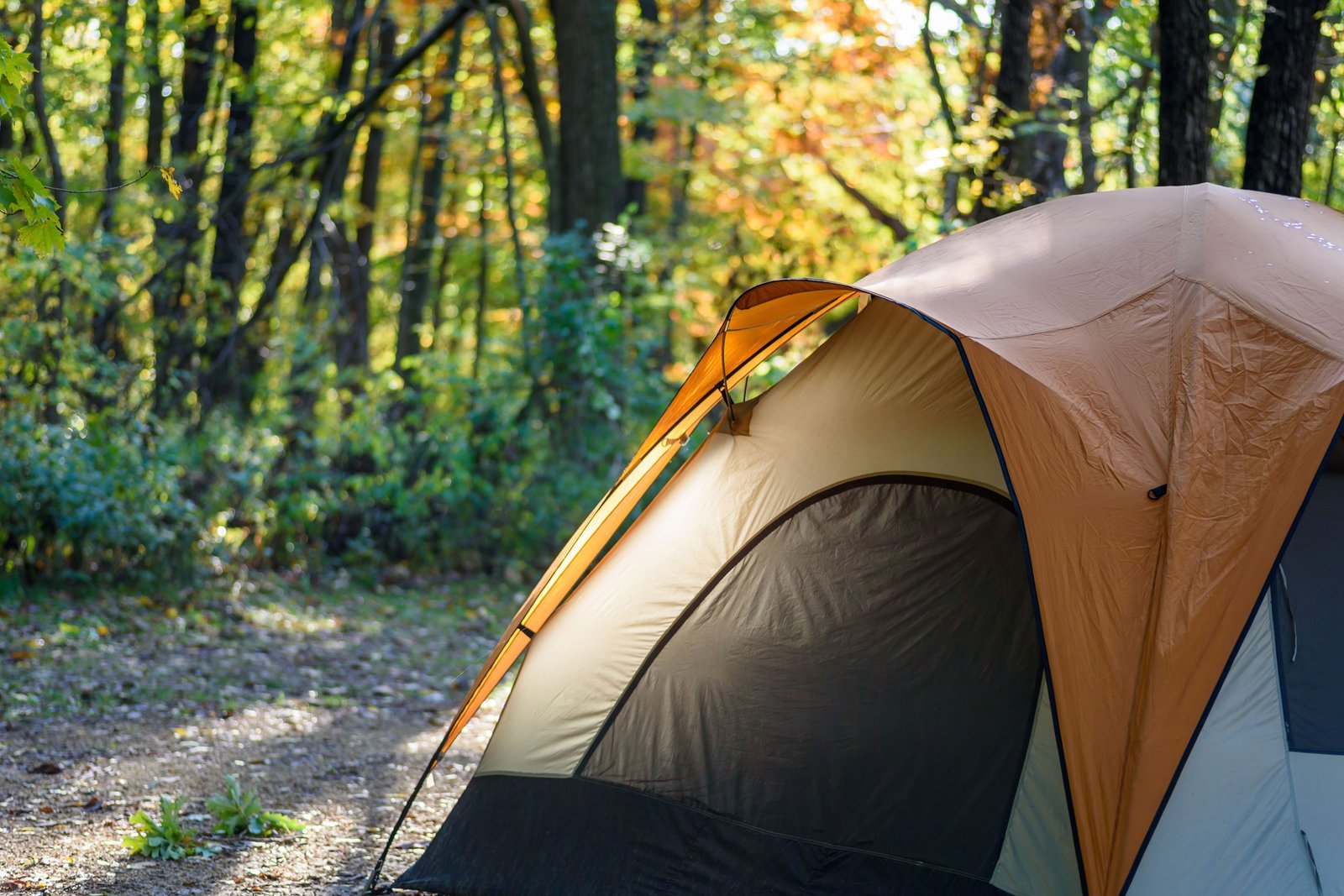 Gather Around the Campfire - 5 Family-Friendly Campgrounds