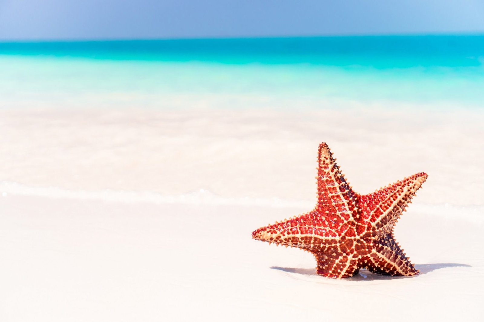 Best Things to Do When Travelling to the Caribbean