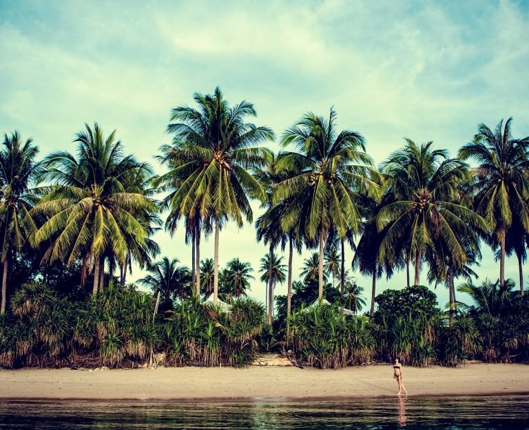 girl-walking-on-the-beach-PU39A6U