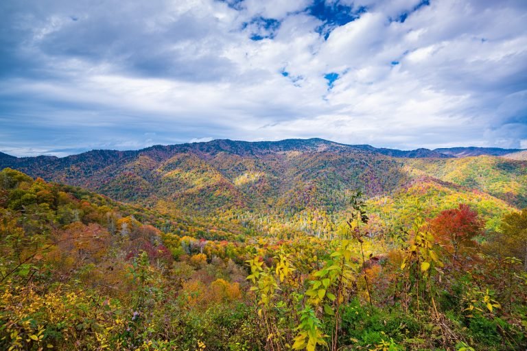 great-smoky-mountains-national-park-tennessee-usa-JGPAL7F